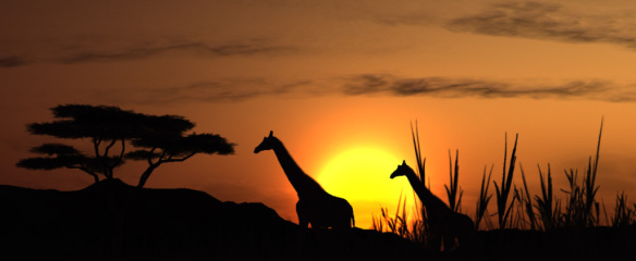 Beautiful Africa